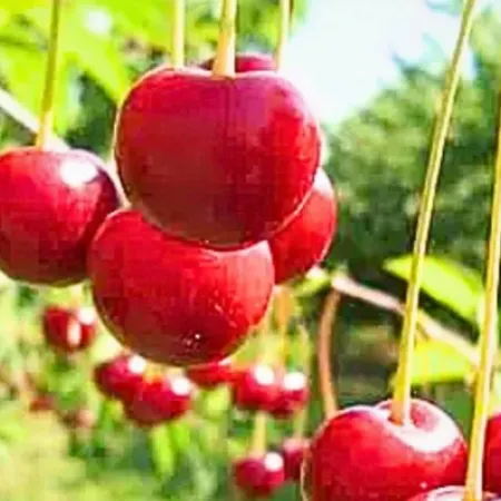 Casa Na Aldeia - Entre Fundao E Covilha *